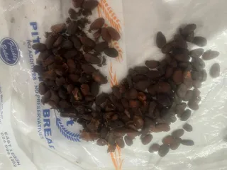 Fermented cocoa beans, Ghana